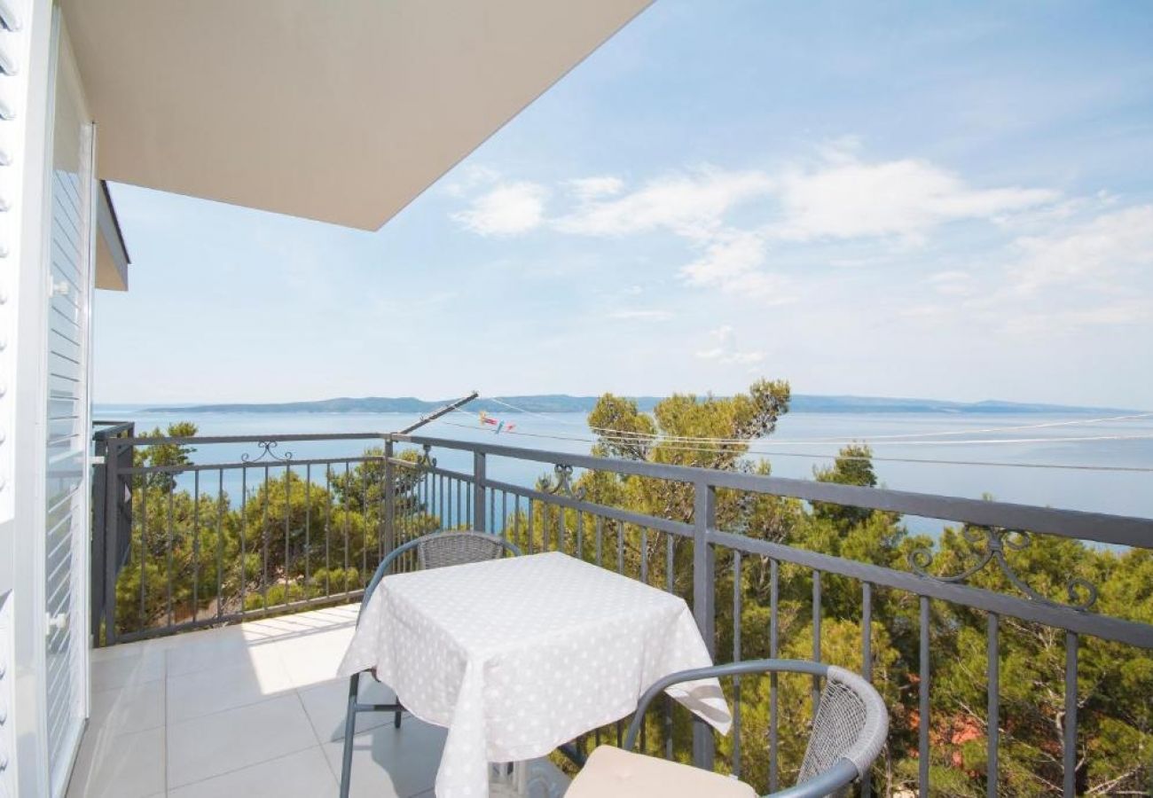 Apartment in Brela - Apartment in Brela with Seaview, Balcony, Air condition, WIFI (5122-2)