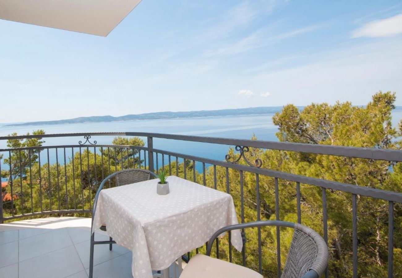 Apartment in Brela - Apartment in Brela with Seaview, Balcony, Air condition, WIFI (5122-2)