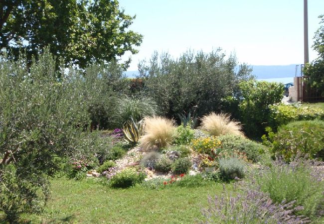 Studio in Dugi Rat - Studio apartment in Dugi Rat with Seaview, Balcony, Air condition, WIFI (5132-5) Studio in Dugi Rat - Studio apartment in Dugi Rat with Seaview, Balcony, Air condition, WIFI (5132-5)