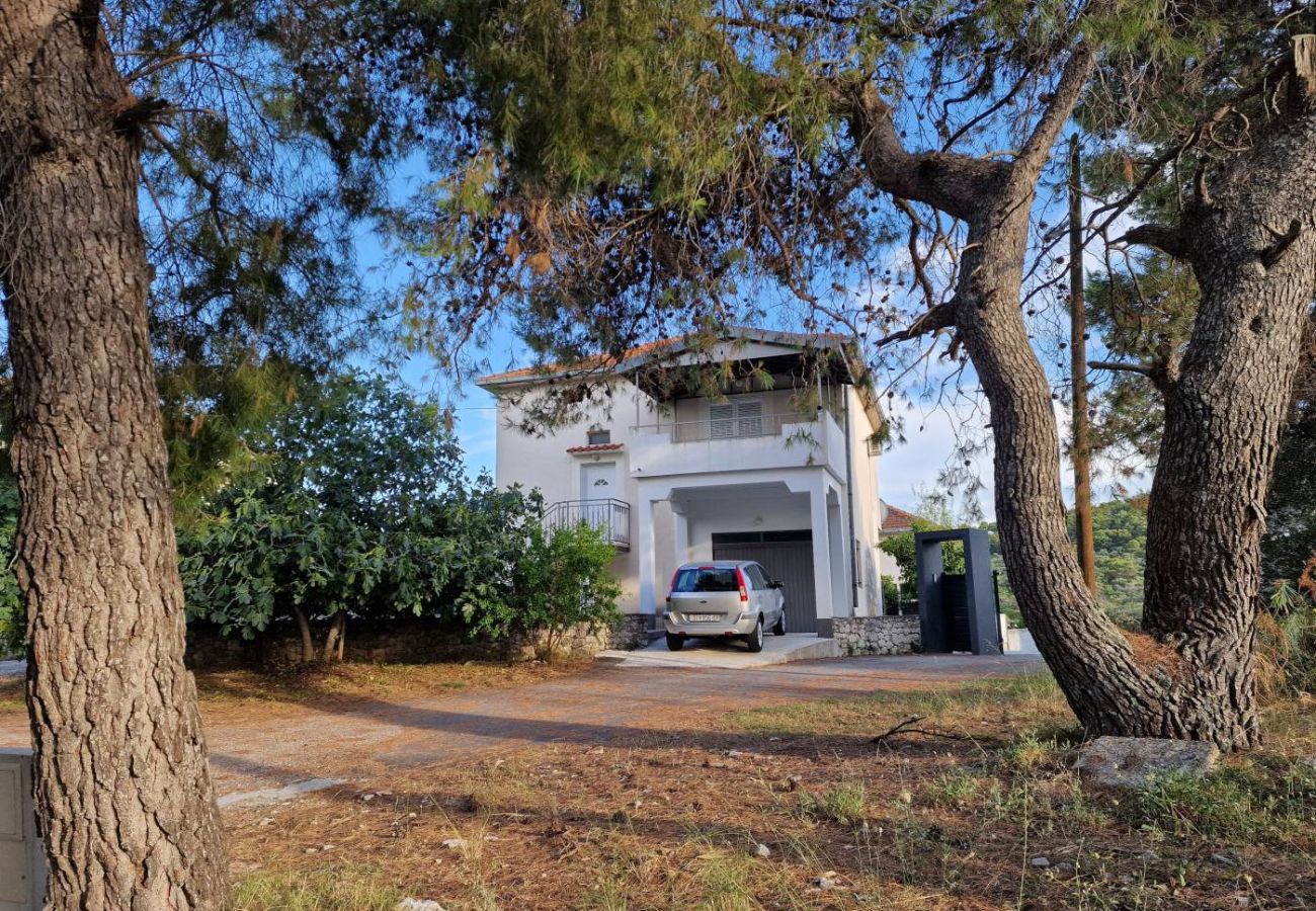 Apartment in Okrug Donji - Apartment in Okrug Donji with Seaview, Terrace, Air condition, WIFI (5136-1)