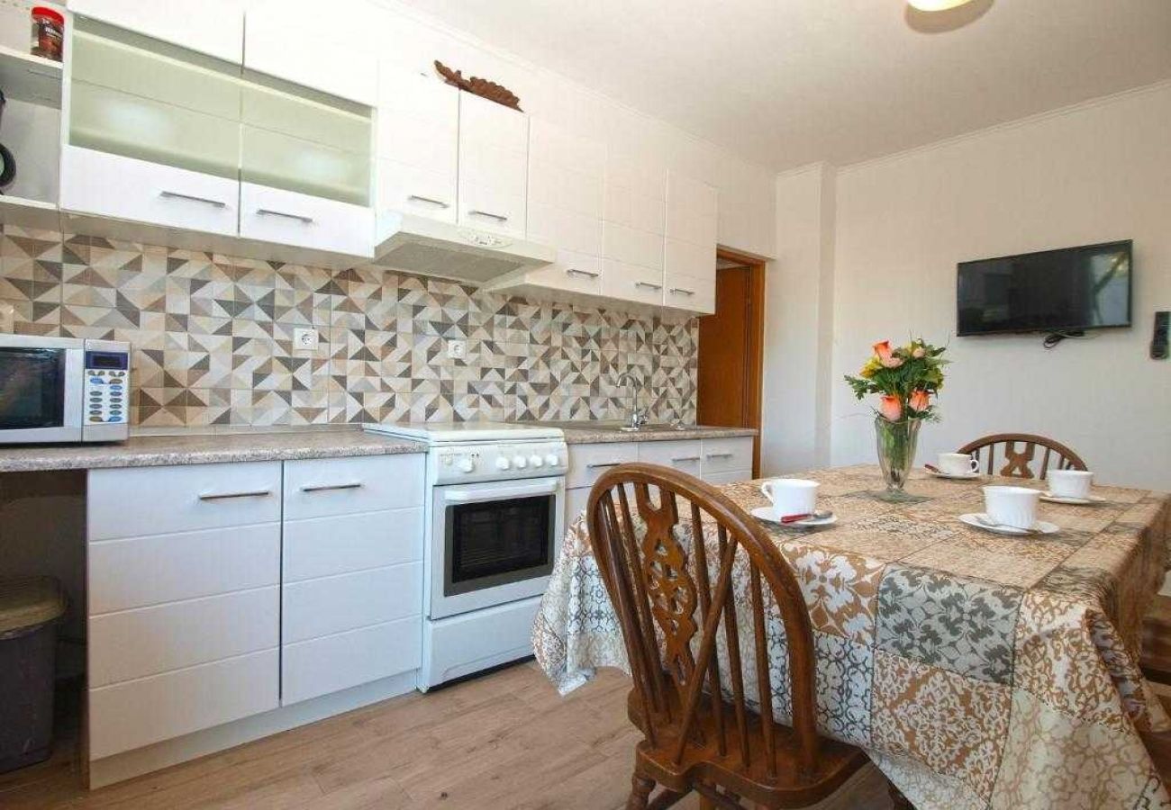 Apartment in Pula - Apartment in Pula with Terrace, Air condition, WIFI, Washing machine (633-6)