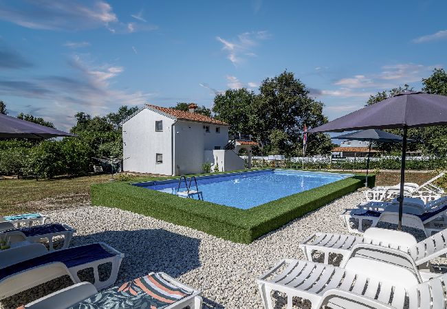 Apartment in Medulin - Apartment in Medulin with Terrace, Air condition, WIFI, Washing machine (5158-1)