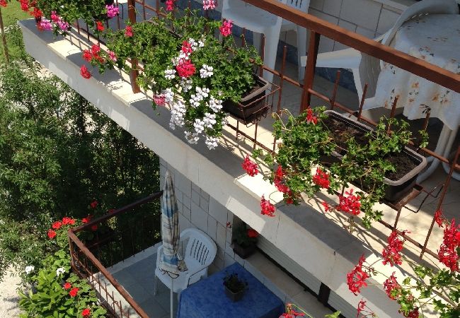 Rent by room in Sukošan - Room in Sukošan with Balcony, Air condition, WIFI (5188-7) Rent by room in Sukošan - Room in Sukošan with Balcony, Air condition, WIFI (5188-7)