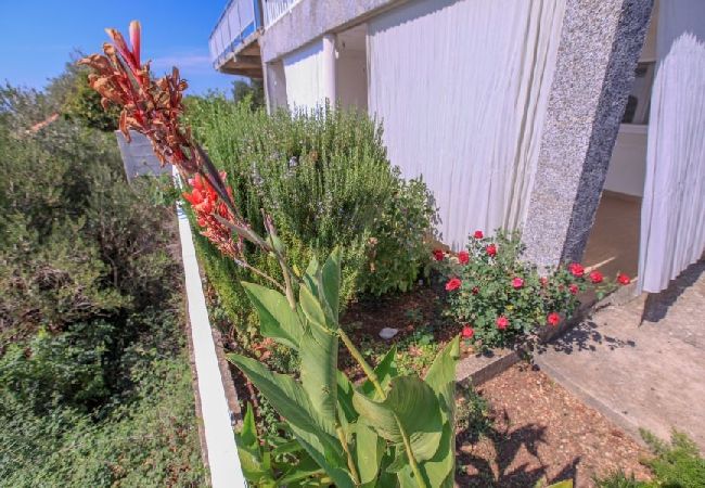 Studio in Podaca - Studio apartment in Podaca with Seaview, Terrace, WIFI (3676-3) Studio in Podaca - Studio apartment in Podaca with Seaview, Terrace, WIFI (3676-3)