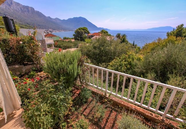 Studio in Podaca - Studio apartment in Podaca with Seaview, Terrace, WIFI (3676-3) Studio in Podaca - Studio apartment in Podaca with Seaview, Terrace, WIFI (3676-3)