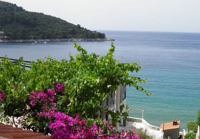 Apartment in Saplunara - Apartment in Saplunara with Seaview, Balcony, Air condition, WIFI (5197-2) Apartment in Saplunara - Apartment in Saplunara with Seaview, Balcony, Air condition, WIFI (5197-2)