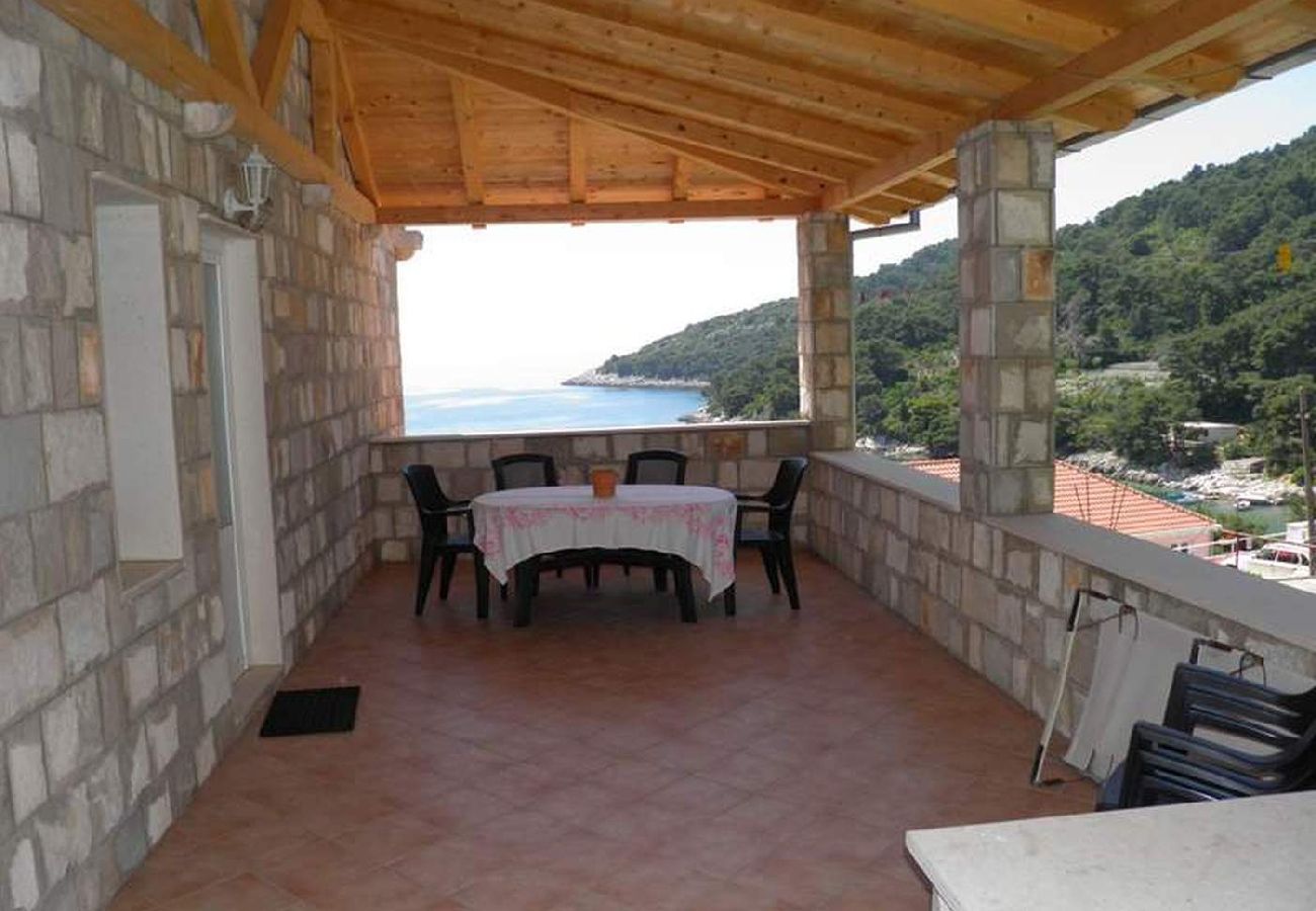 Apartment in Saplunara - Apartment in Saplunara with Seaview, Balcony, Air condition, WIFI (5197-2)