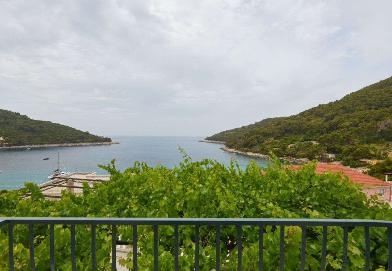 Apartment in Saplunara - Apartment in Saplunara with Seaview, Balcony, Air condition, WIFI (5197-2)