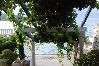 Apartment in Lumbarda - Apartment in Lumbarda with Seaview, Terrace, Air condition, WIFI (869-4) Apartment in Lumbarda - Apartment in Lumbarda with Seaview, Terrace, Air condition, WIFI (869-4)