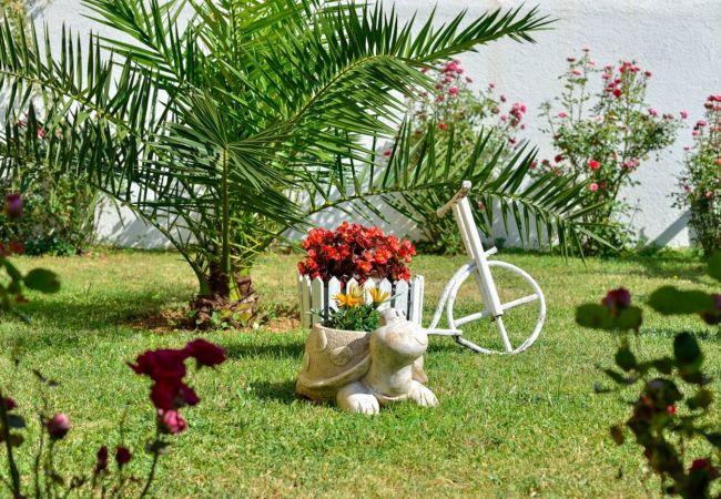 Apartment in Drage - Apartment 566-4 for 5 people in Drage Apartment in Drage - Apartment 566-4 for 5 people in Drage