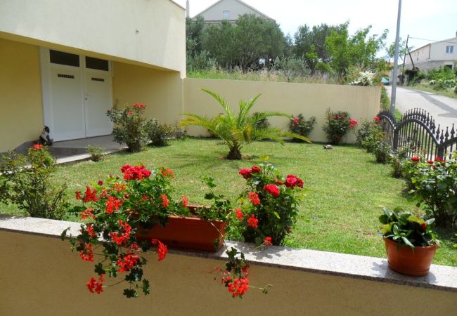 Apartment in Drage - Apartment 566-4 for 5 people in Drage Apartment in Drage - Apartment 566-4 for 5 people in Drage