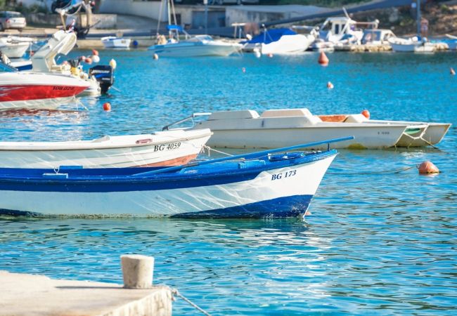 Apartment in Drage - Apartment 566-4 for 5 people in Drage Apartment in Drage - Apartment 566-4 for 5 people in Drage