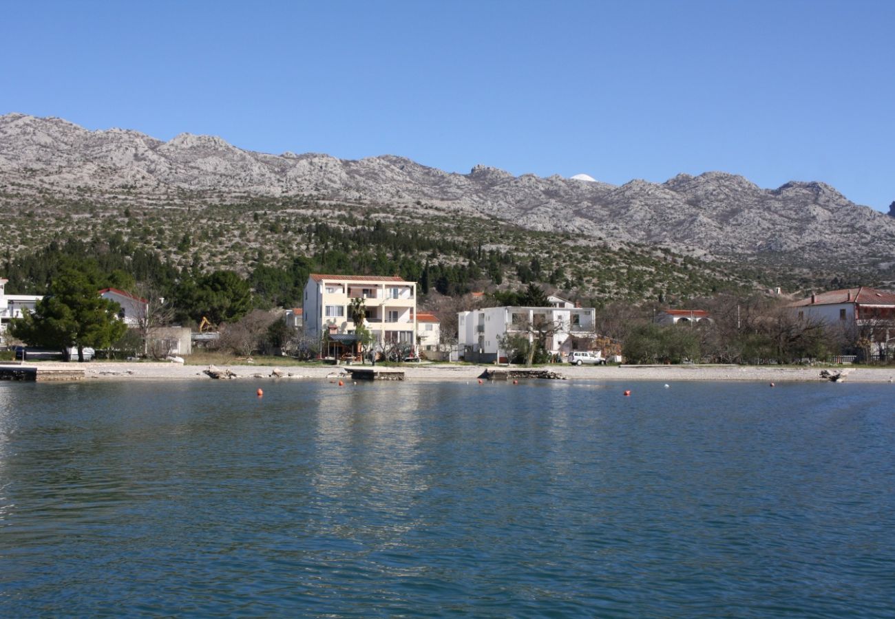 Studio in Seline - Studio in Seline with sea view, Wi-Fi, terrace (4209-4)