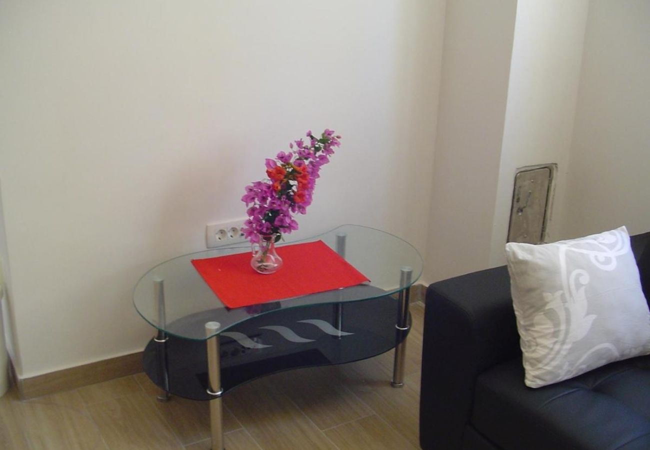 Apartment in Turanj - Apartment in Turanj with garden access, washing machine, air conditioning, Wi-Fi (5236-1)