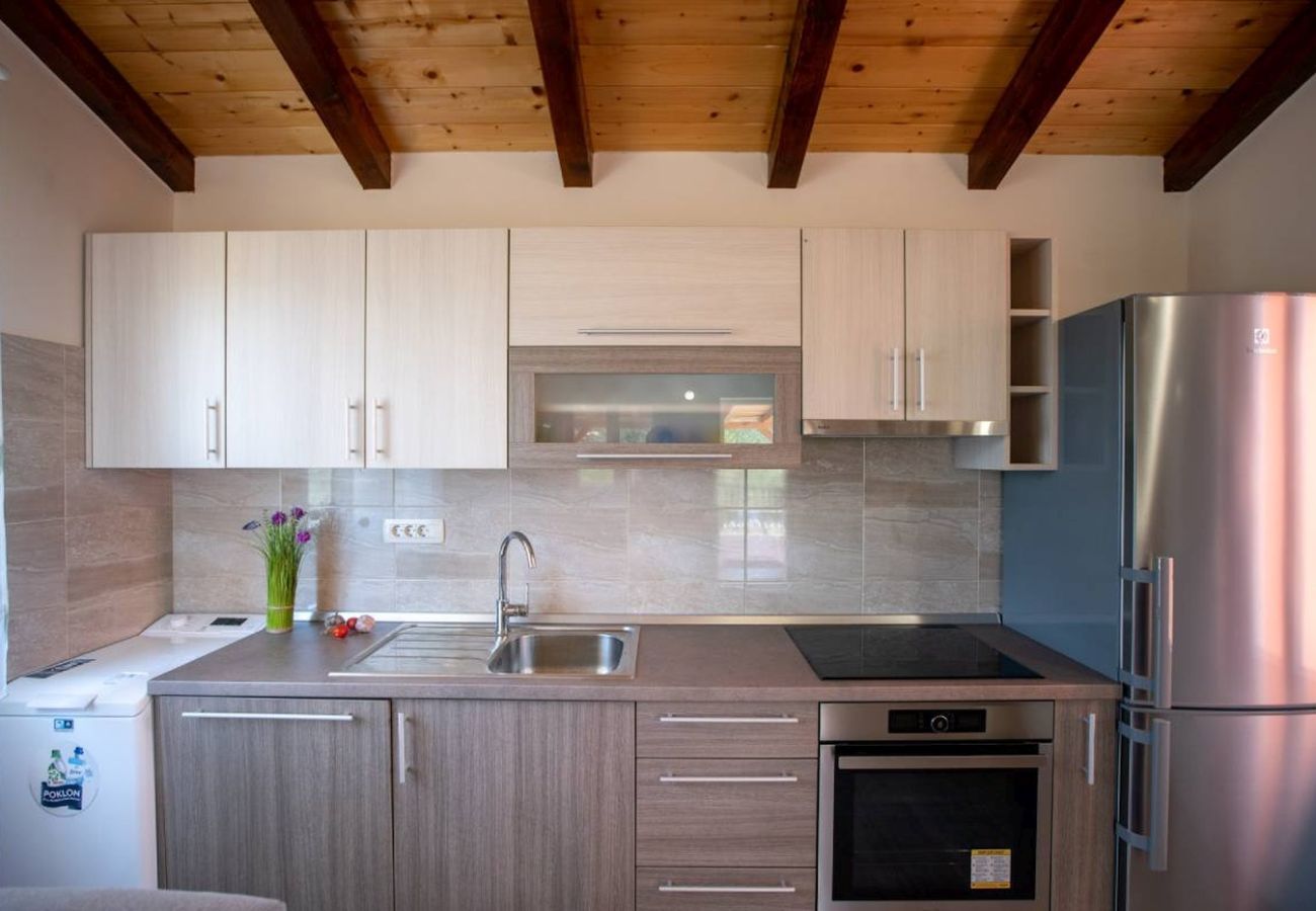 House in Mundanije - Holiday house in Mundanije with garden, jacuzzi, terrace, air conditioning, and washing machine (5238-1)