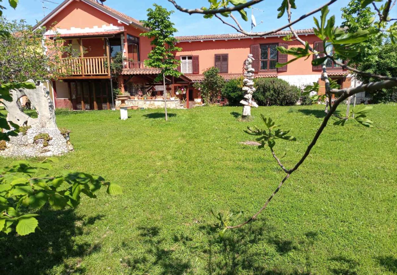 Studio in Umag - Studio in Umag with air conditioning, washing machine, Wi-Fi (4222-3)