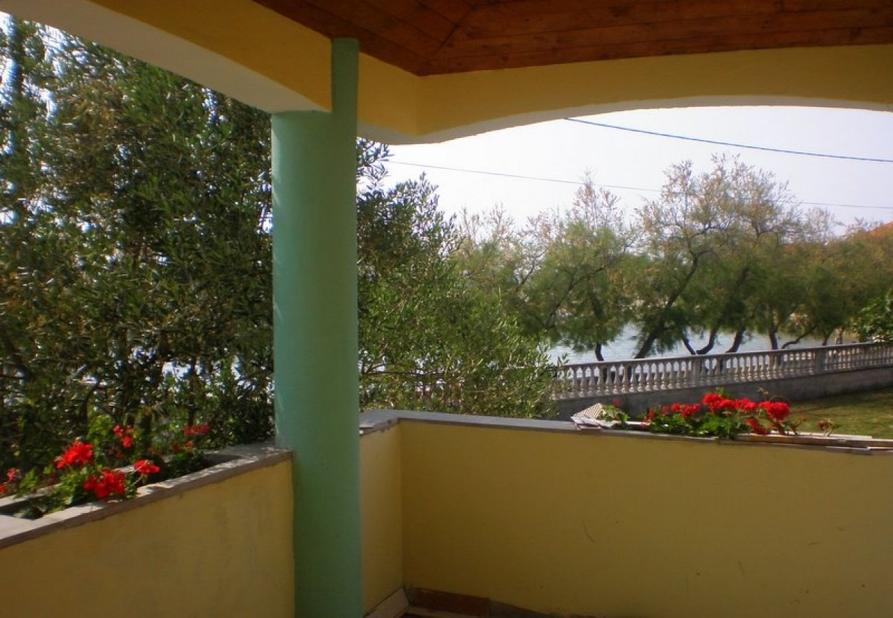 Apartamento en Bibinje - Apartamento en Bibinje con Seaview, Terraza, Acondicionador, WIFI (59-1)