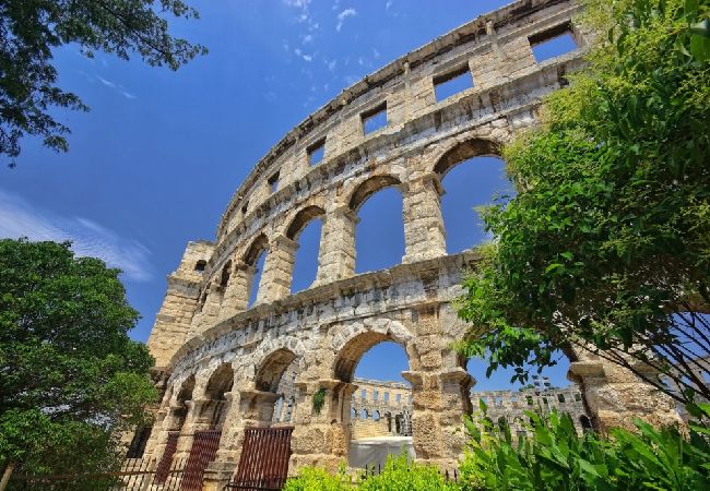 Apartamento en Medulin - Apartamento en Medulin con Terraza, Acondicionador, WIFI, Lavadora (64-4) Apartamento en Medulin - Apartamento en Medulin con Terraza, Acondicionador, WIFI, Lavadora (64-4)