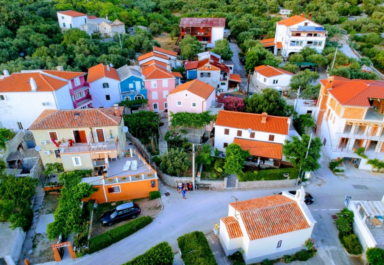 Casa en Miholašcica - Casa de vacaciones en Miholaščica con Terraza, Acondicionador, WIFI (66-1)