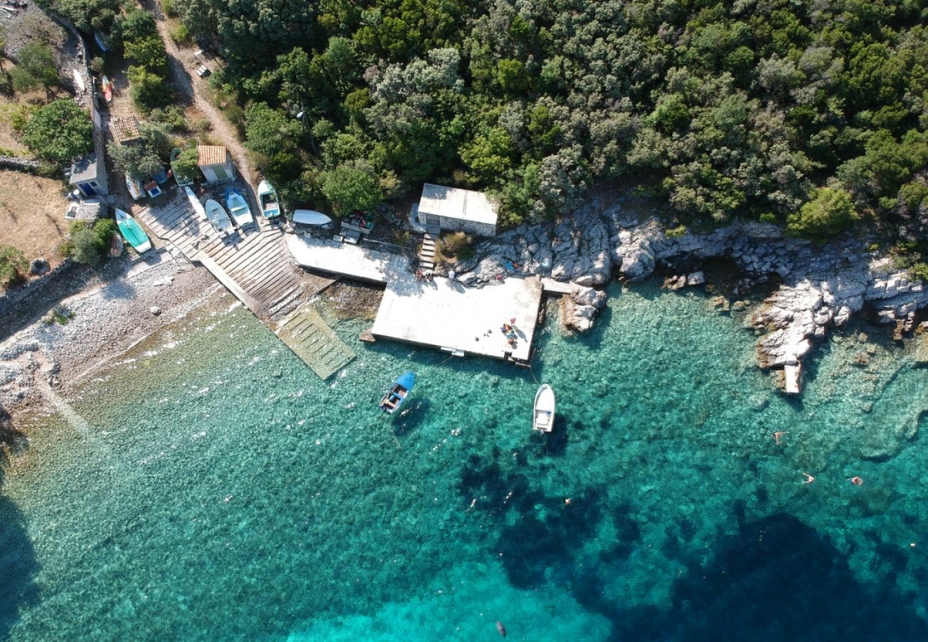 Casa en Miholašcica - Casa de vacaciones en Miholaščica con Terraza, Acondicionador, WIFI (66-1)