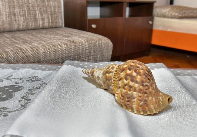 Apartamento en Pisak - Apartamento en Pisak con Seaview, Terraza, Acondicionador, WIFI (77-4) Apartamento en Pisak - Apartamento en Pisak con Seaview, Terraza, Acondicionador, WIFI (77-4)