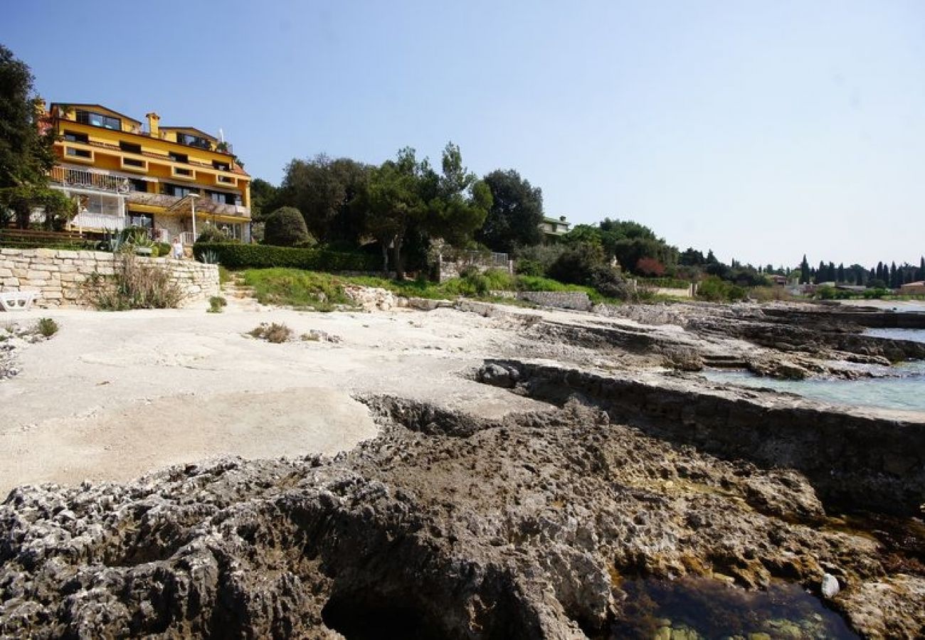 Alquiler por habitaciones en Rovinj - Habitacion en Rovinj con Terraza, Acondicionador, WIFI (81-5)