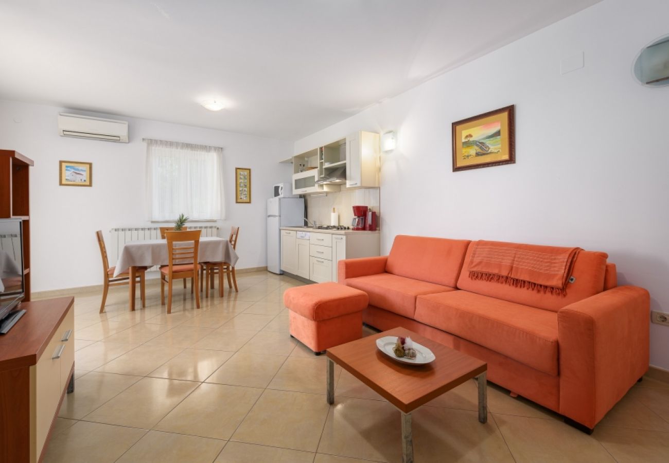 Apartamento en Bašanija - Apartamento en Bašanija con Terraza, Acondicionador, WIFI, Lavadora (113-1)