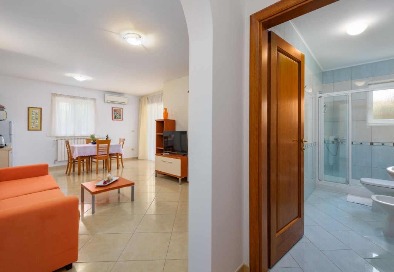 Apartamento en Bašanija - Apartamento en Bašanija con Terraza, Acondicionador, WIFI, Lavadora (113-2)