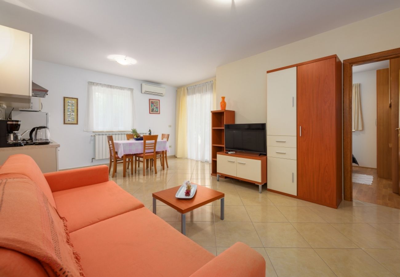 Apartamento en Bašanija - Apartamento en Bašanija con Terraza, Acondicionador, WIFI, Lavadora (113-2)