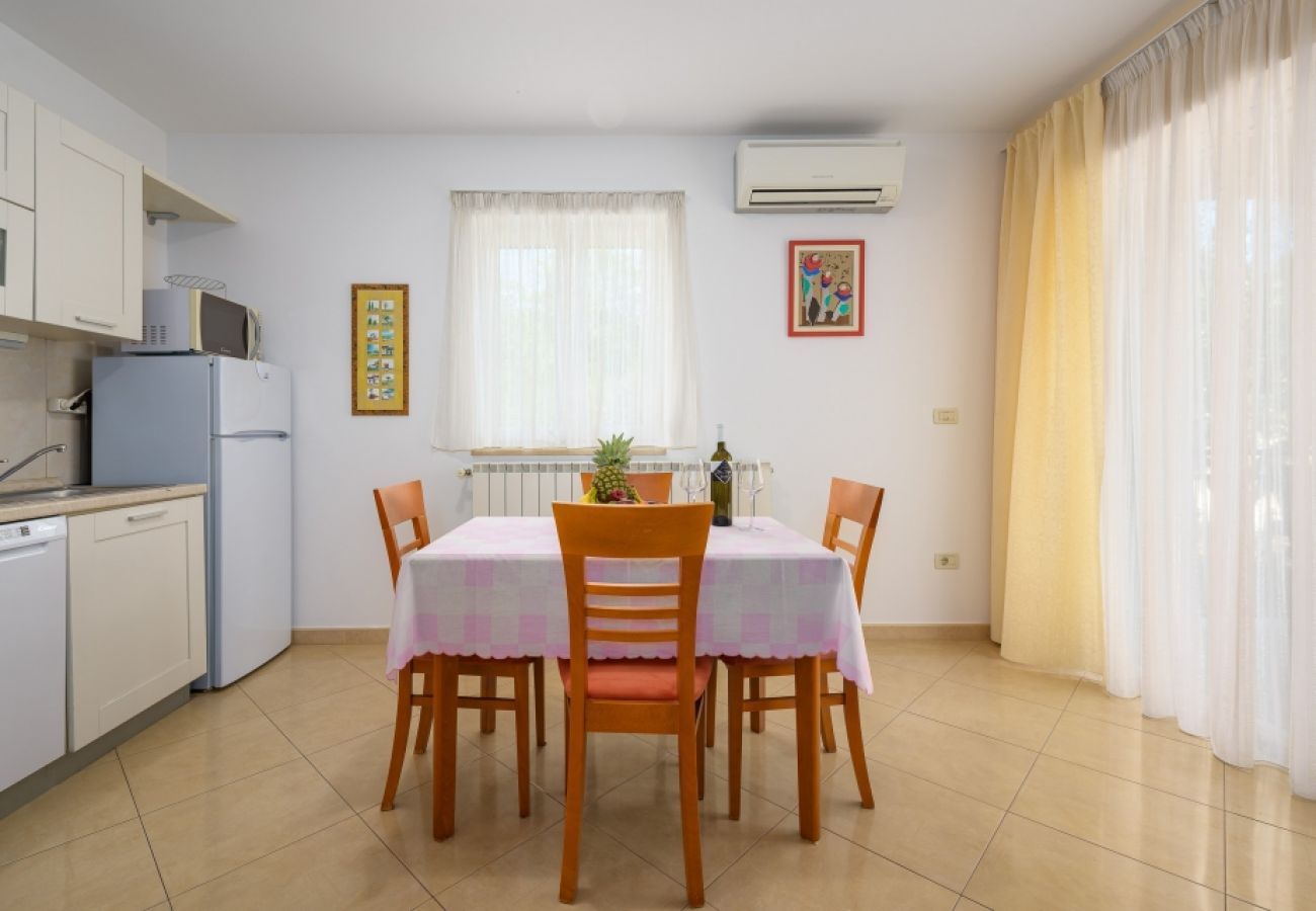 Apartamento en Bašanija - Apartamento en Bašanija con Terraza, Acondicionador, WIFI, Lavadora (113-2)