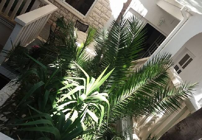 Apartamento en Duce - Apartamento en Duće con Loggia, Acondicionador, WIFI, Lavavajillas (122-5) Apartamento en Duce - Apartamento en Duće con Loggia, Acondicionador, WIFI, Lavavajillas (122-5)