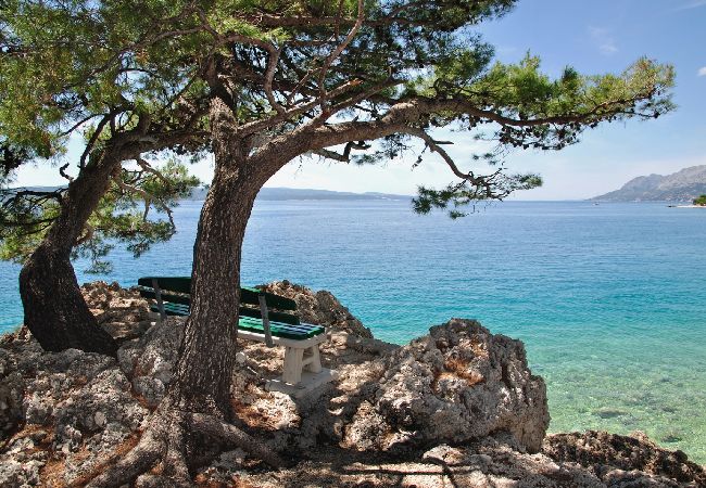 Apartamento en Brela - Apartamento en Brela con Seaview, Terraza, Acondicionador, WIFI (75-2) Apartamento en Brela - Apartamento en Brela con Seaview, Terraza, Acondicionador, WIFI (75-2)