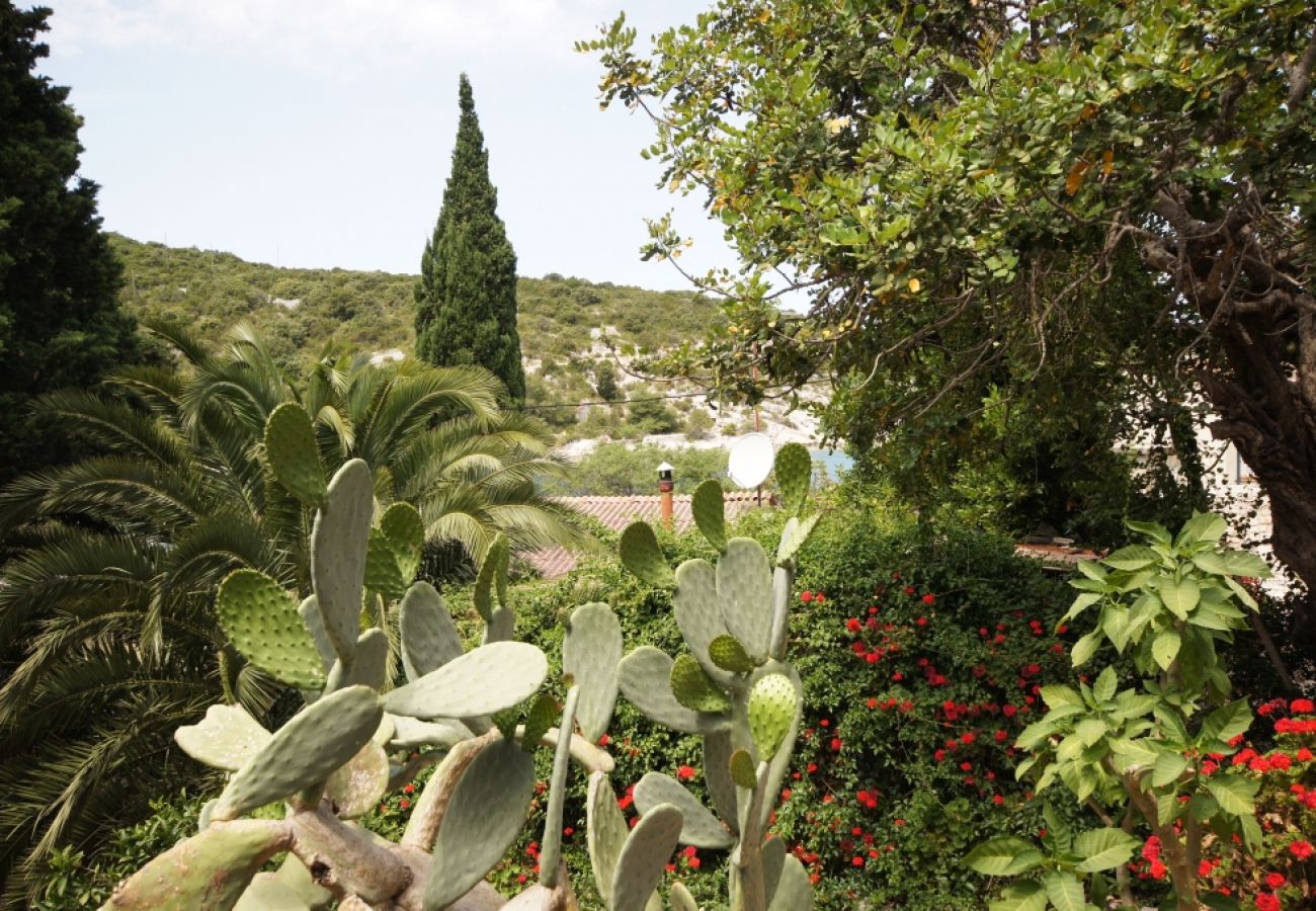 Casa en Vis - Casa de vacaciones en Vis con Terraza, Acondicionador, Lavavajillas (139-1)