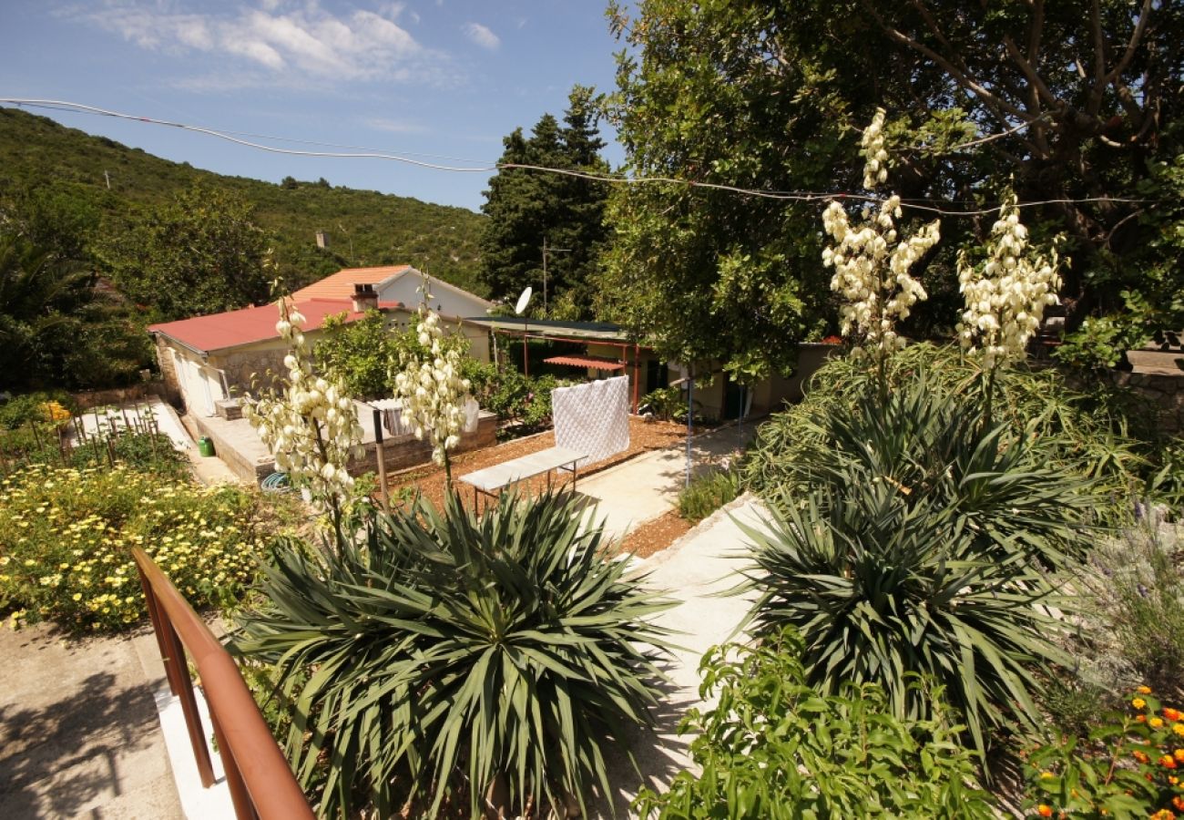 Casa en Vis - Casa de vacaciones en Vis con Terraza, Acondicionador, Lavavajillas (139-1)