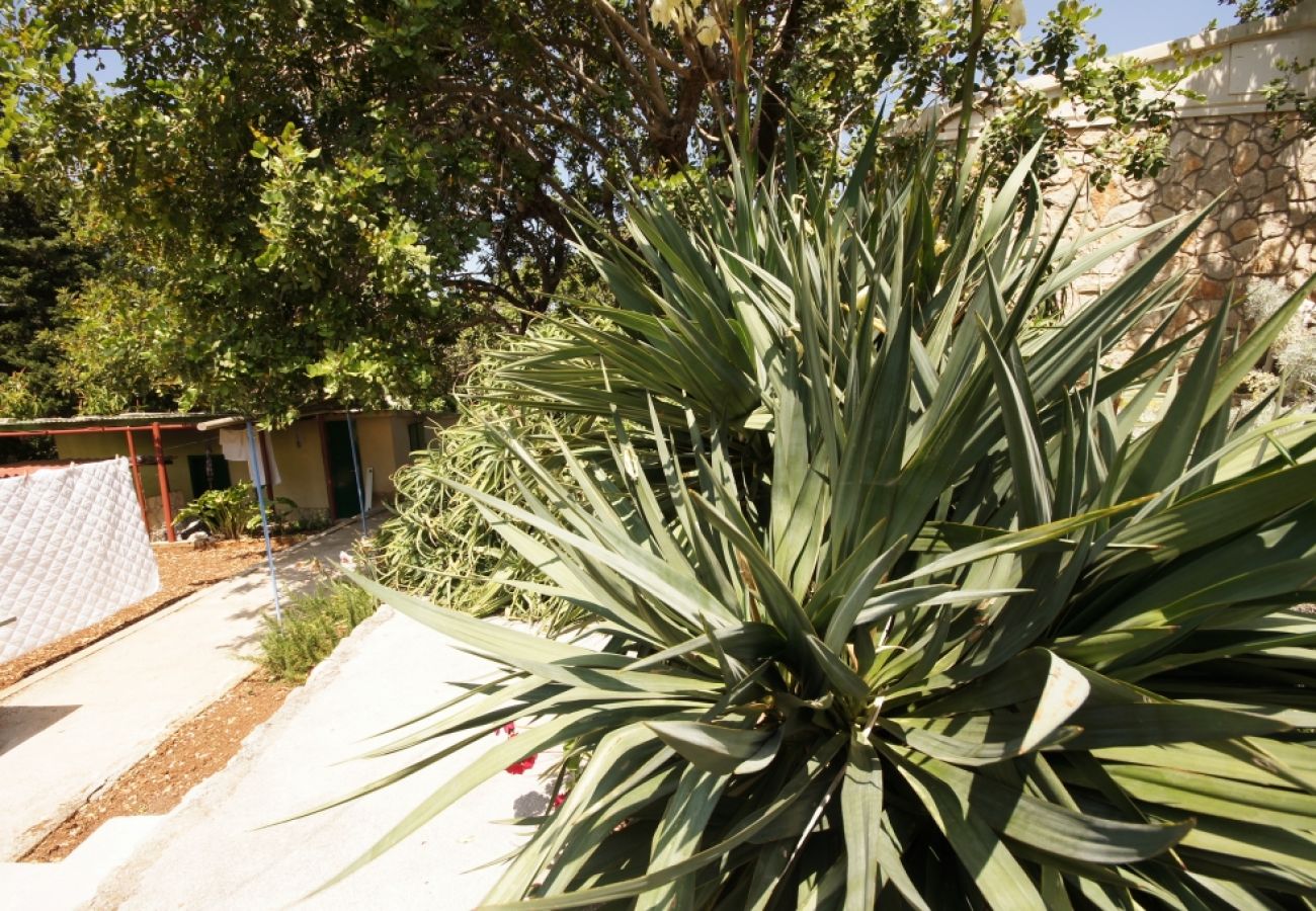 Casa en Vis - Casa de vacaciones en Vis con Terraza, Acondicionador, Lavavajillas (139-1)