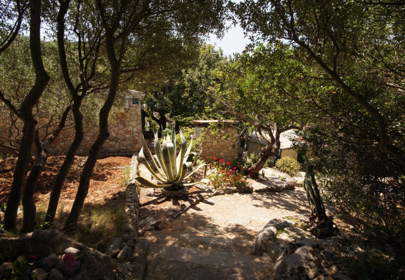 Casa en Vis - Casa de vacaciones en Vis con Terraza, Acondicionador, Lavavajillas (139-1)