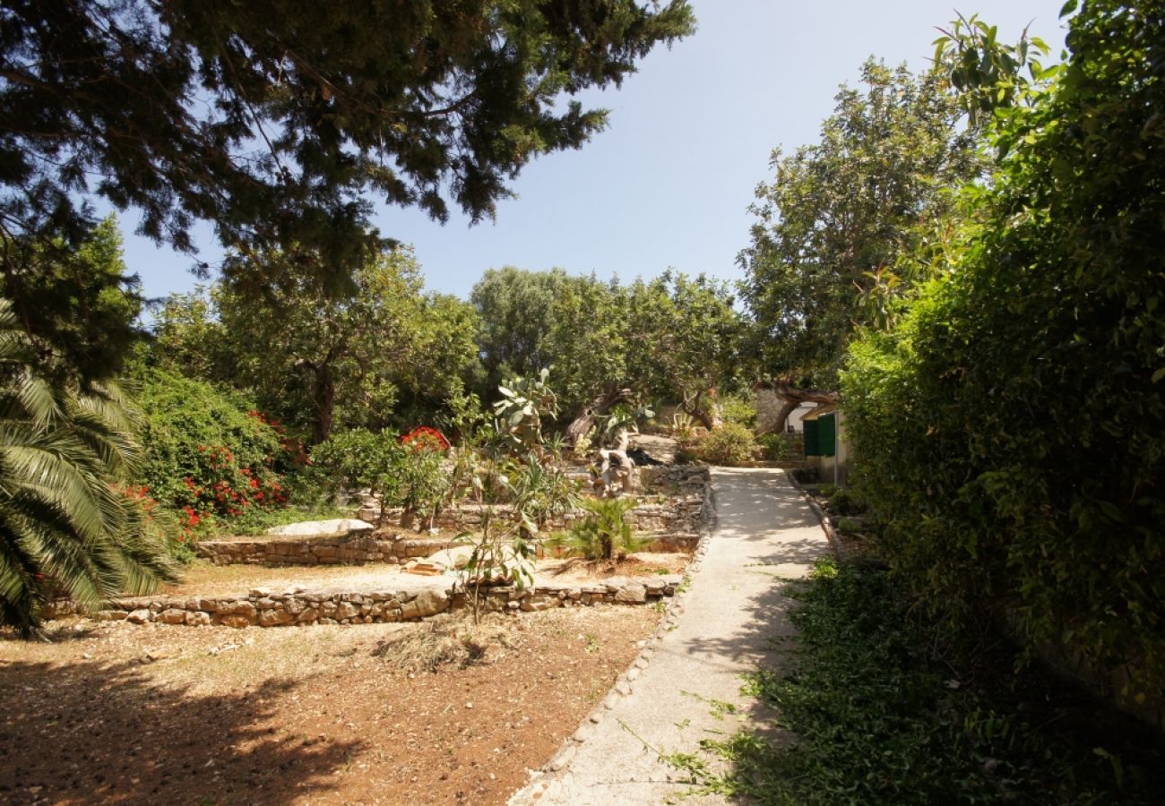 Casa en Vis - Casa de vacaciones en Vis con Terraza, Acondicionador, Lavavajillas (139-1)