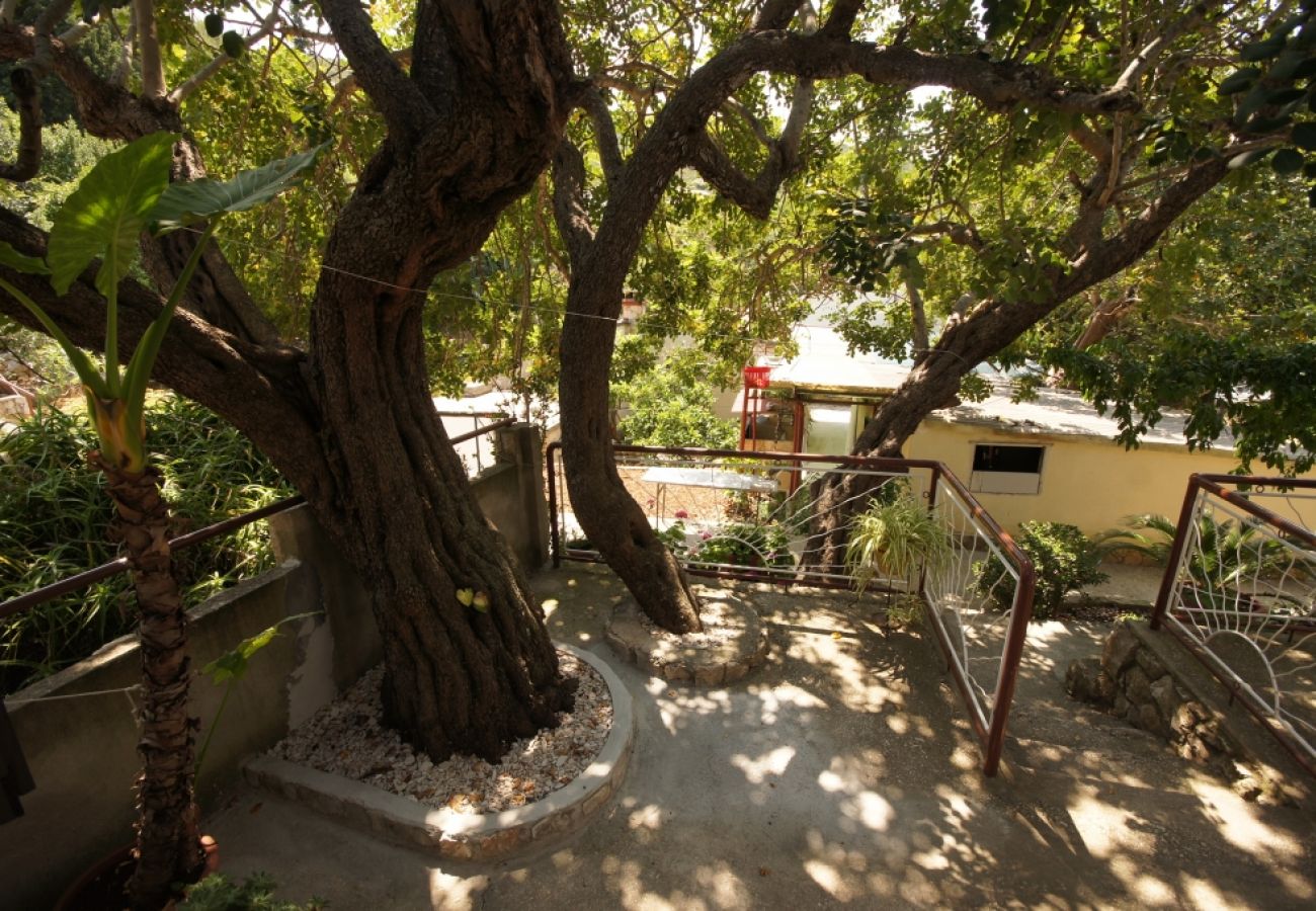 Casa en Vis - Casa de vacaciones en Vis con Terraza, Acondicionador, Lavavajillas (139-2)