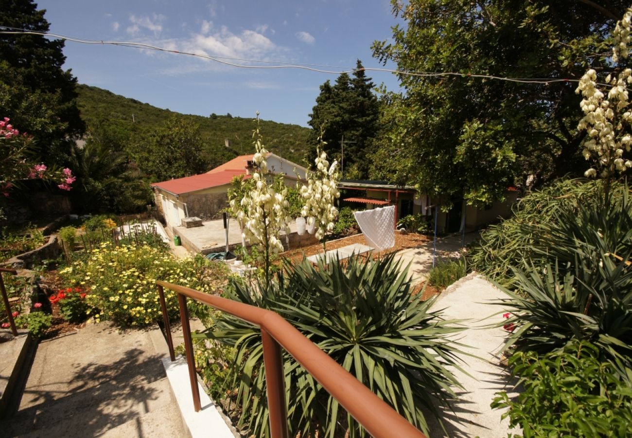 Casa en Vis - Casa de vacaciones en Vis con Terraza, Acondicionador, Lavavajillas (139-3)