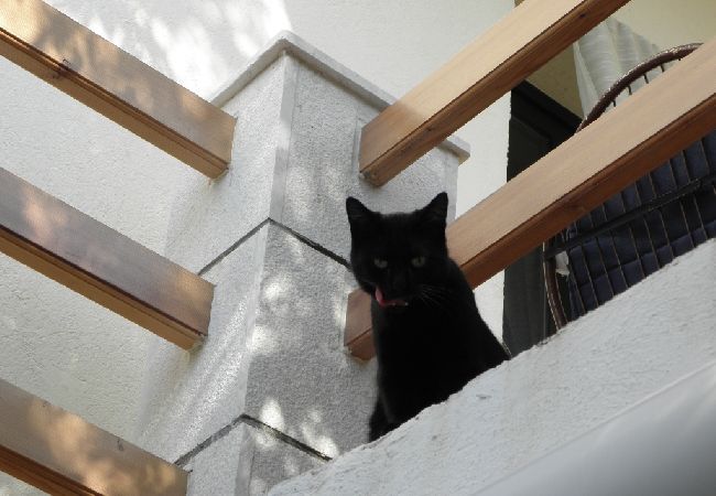 Apartamento en Hvar - Apartamento en Hvar con Seaview, Loggia, Acondicionador, WIFI (199-3) Apartamento en Hvar - Apartamento en Hvar con Seaview, Loggia, Acondicionador, WIFI (199-3)