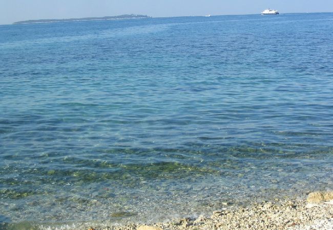 Apartamento en Fažana - Apartamento en Fažana con Seaview, Balcón, Acondicionador, WIFI (227-1) Apartamento en Fažana - Apartamento en Fažana con Seaview, Balcón, Acondicionador, WIFI (227-1)