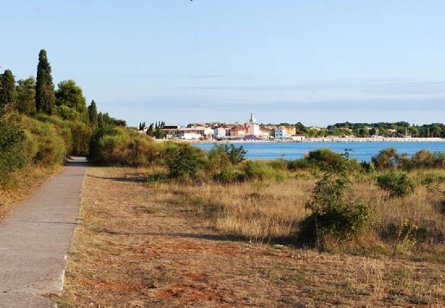 Apartamento en Fažana - Apartamento en Fažana con Seaview, Balcón, Acondicionador, WIFI (227-1) Apartamento en Fažana - Apartamento en Fažana con Seaview, Balcón, Acondicionador, WIFI (227-1)