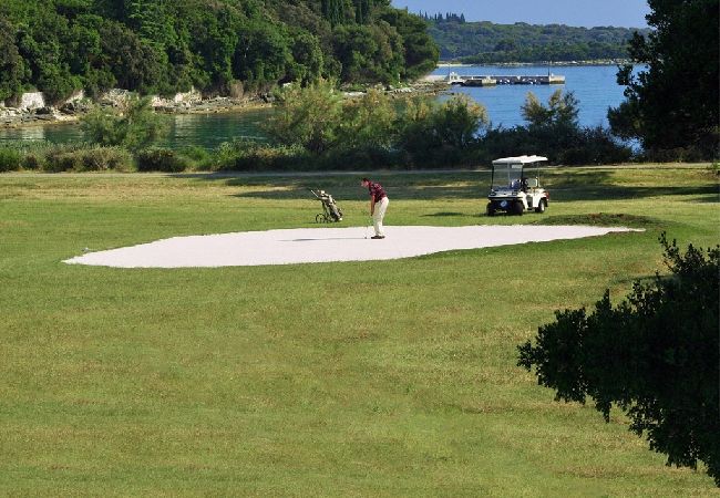 Apartamento en Fažana - Apartamento en Fažana con Balcón, Acondicionador, WIFI, Lavadora (229-1) Apartamento en Fažana - Apartamento en Fažana con Balcón, Acondicionador, WIFI, Lavadora (229-1)