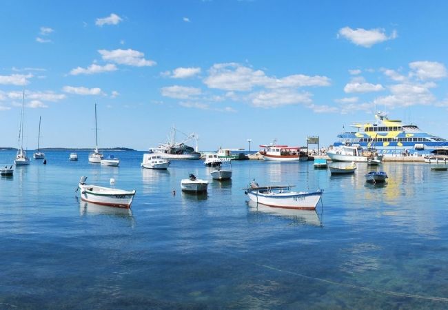 Apartamento en Fažana - Apartamento en Fažana con Balcón, Acondicionador, WIFI, Lavadora (229-1) Apartamento en Fažana - Apartamento en Fažana con Balcón, Acondicionador, WIFI, Lavadora (229-1)