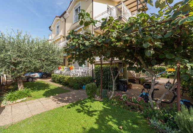 Apartamento en Umag - Apartamento en Umag con Terraza, Acondicionador, WIFI, Lavadora (244-3) Apartamento en Umag - Apartamento en Umag con Terraza, Acondicionador, WIFI, Lavadora (244-3)