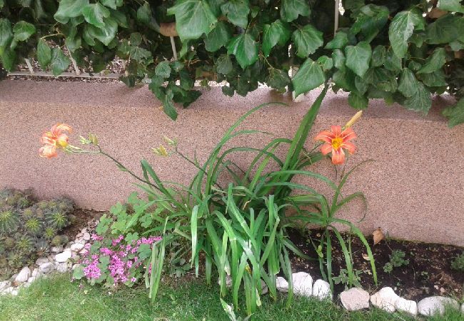 Apartamento en Kaštel Sucurac - Apartamento en Kaštel Sućurac con Seaview, Balcón, Acondicionador, WIFI (570-1) Apartamento en Kaštel Sucurac - Apartamento en Kaštel Sućurac con Seaview, Balcón, Acondicionador, WIFI (570-1)