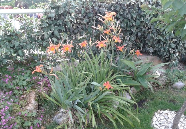 Apartamento en Kaštel Sucurac - Apartamento en Kaštel Sućurac con Seaview, Balcón, Acondicionador, WIFI (570-3) Apartamento en Kaštel Sucurac - Apartamento en Kaštel Sućurac con Seaview, Balcón, Acondicionador, WIFI (570-3)