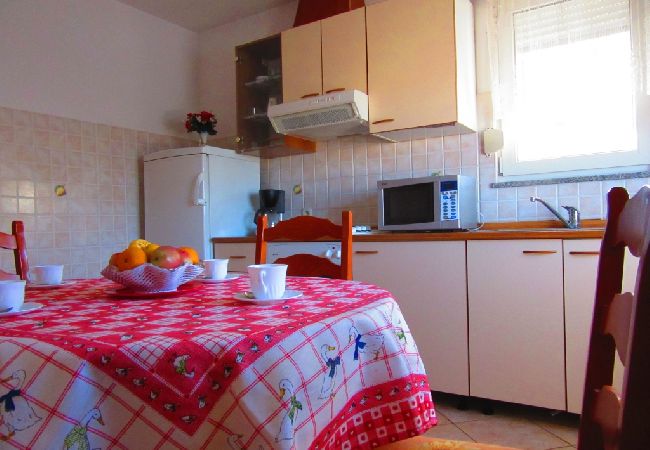 Apartamento en Pula - Apartamento en Pula con Terraza, Acondicionador, WIFI, Lavadora (633-1) Apartamento en Pula - Apartamento en Pula con Terraza, Acondicionador, WIFI, Lavadora (633-1)