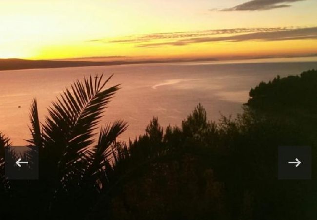 Apartamento en Stanici - Apartamento en Stanići con Seaview, Balcón, Acondicionador, WIFI (634-3) Apartamento en Stanici - Apartamento en Stanići con Seaview, Balcón, Acondicionador, WIFI (634-3)