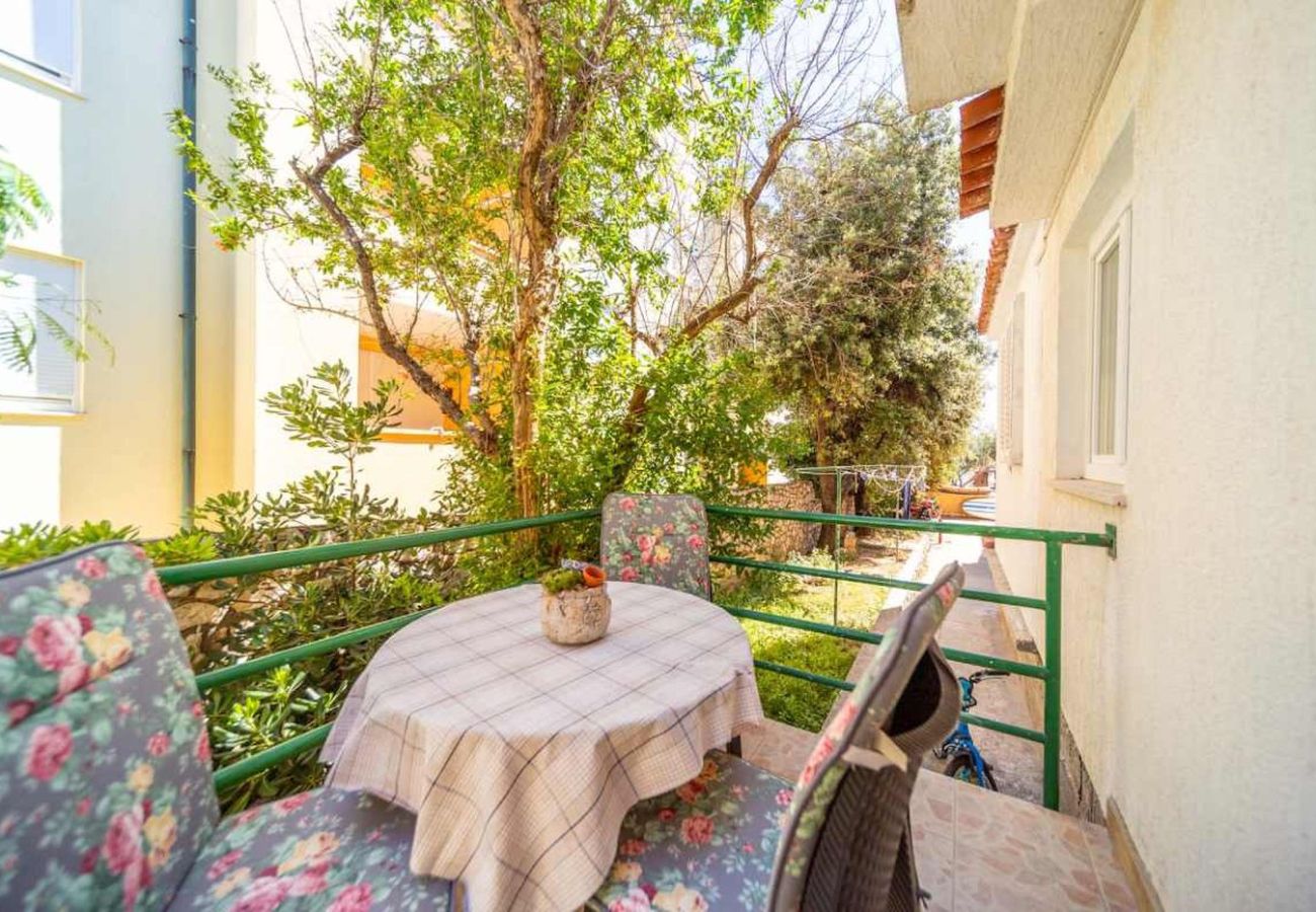 Apartamento en Rab - Apartamento en Barbat con Balcón, Acondicionador (660-2) Apartamento en Rab - Apartamento en Barbat con Balcón, Acondicionador (660-2)